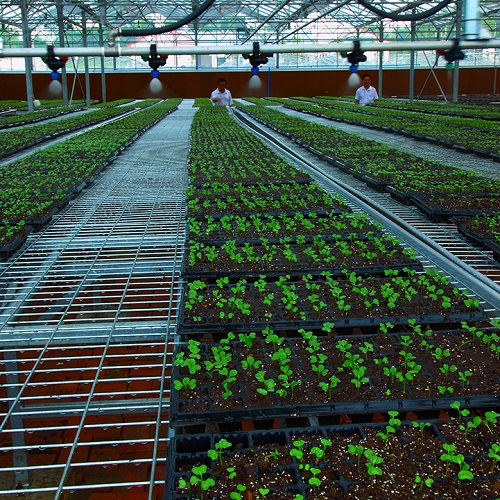 農田水肥一體化智能控制系統